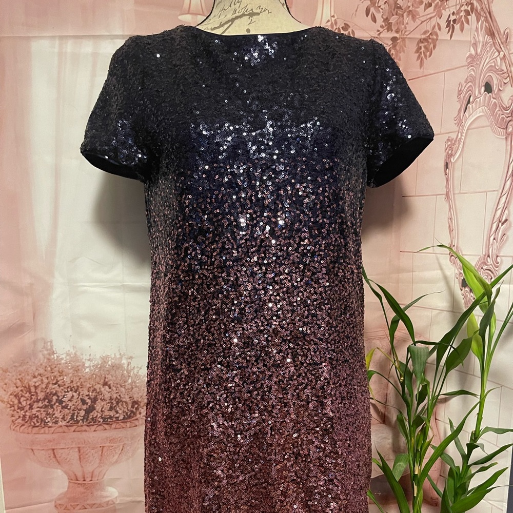 Maia Short Sleeve 2 Tone Sequins Dress in Size  8 Dark Blue/Pink